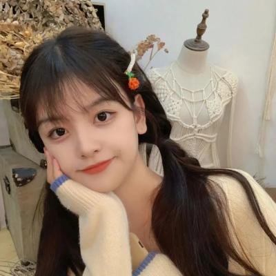 少数意见
